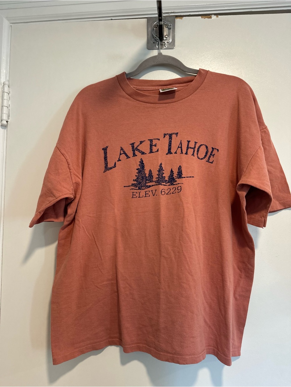 Vintage Lake Tahoe Project E Sz:XL dusty orange Spellout destination Nature tee.